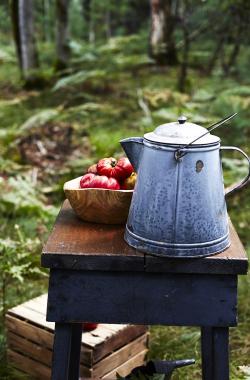 images/portfolio/foodandcom/Portrait/EK_Baldwin819.jpg