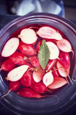 images/portfolio/foodandcom/Portrait/SLT_BonAppetit1377.jpg