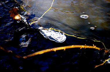 images/portfolio/nature/landscape/2.14Kasewurm181.jpg