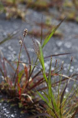 images/portfolio/nature/portfolio/EyeFeel.jpg
