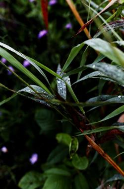 images/portfolio/nature/portfolio/EyeFeel2.jpg
